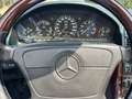 Mercedes-Benz SL 500 motore con 4000 km fattura mercedes benz - thumbnail 8