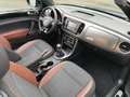 Volkswagen Beetle Beetle Cabriolet 1.2 TSI Allstar BMT Noir - thumbnail 8