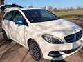 Mercedes-Benz B Electric Drive Gepflegte B250E, 2.Hd., 54TKM, Leder, Rangeplus Weiß - thumbnail 3