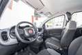Fiat Panda Hybrid 1.0 Gse 51kw (70CV) Blanc - thumbnail 4