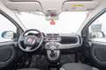 Fiat Panda Hybrid 1.0 Gse 51kw (70CV) Blanc - thumbnail 5