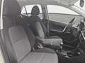 Kia Picanto PICANTO 1.0 VISION SITZH. NAVI KAMERA Beige - thumbnail 17
