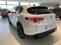 Alfa Romeo Stelvio 2.2 Turbodiesel 210cv AT8 Q4 Veloce Wit - thumbnail 6