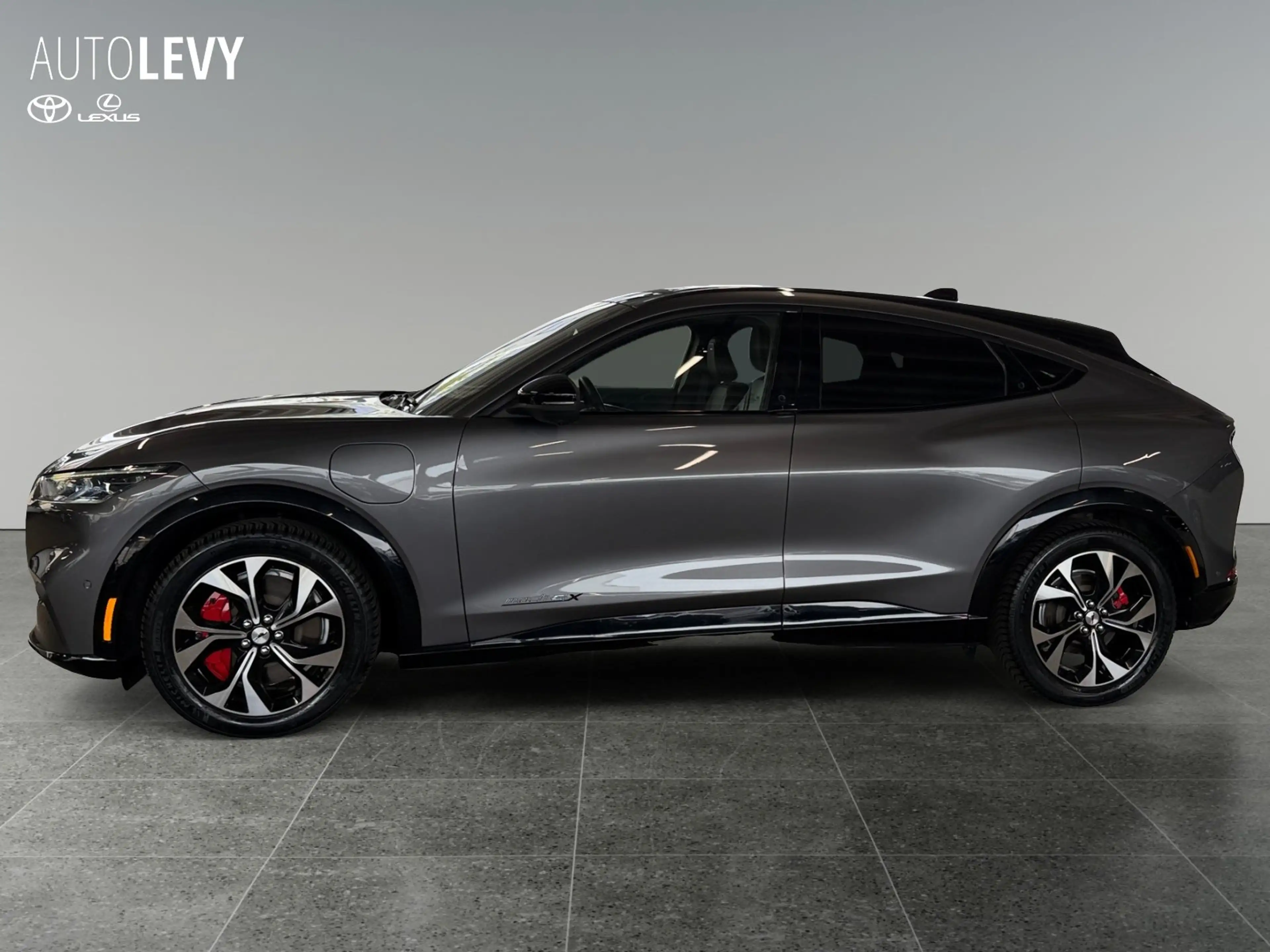 Ford Mustang Mach-E AWD (Extended Range 99kWh) 360 Kam — photo 3