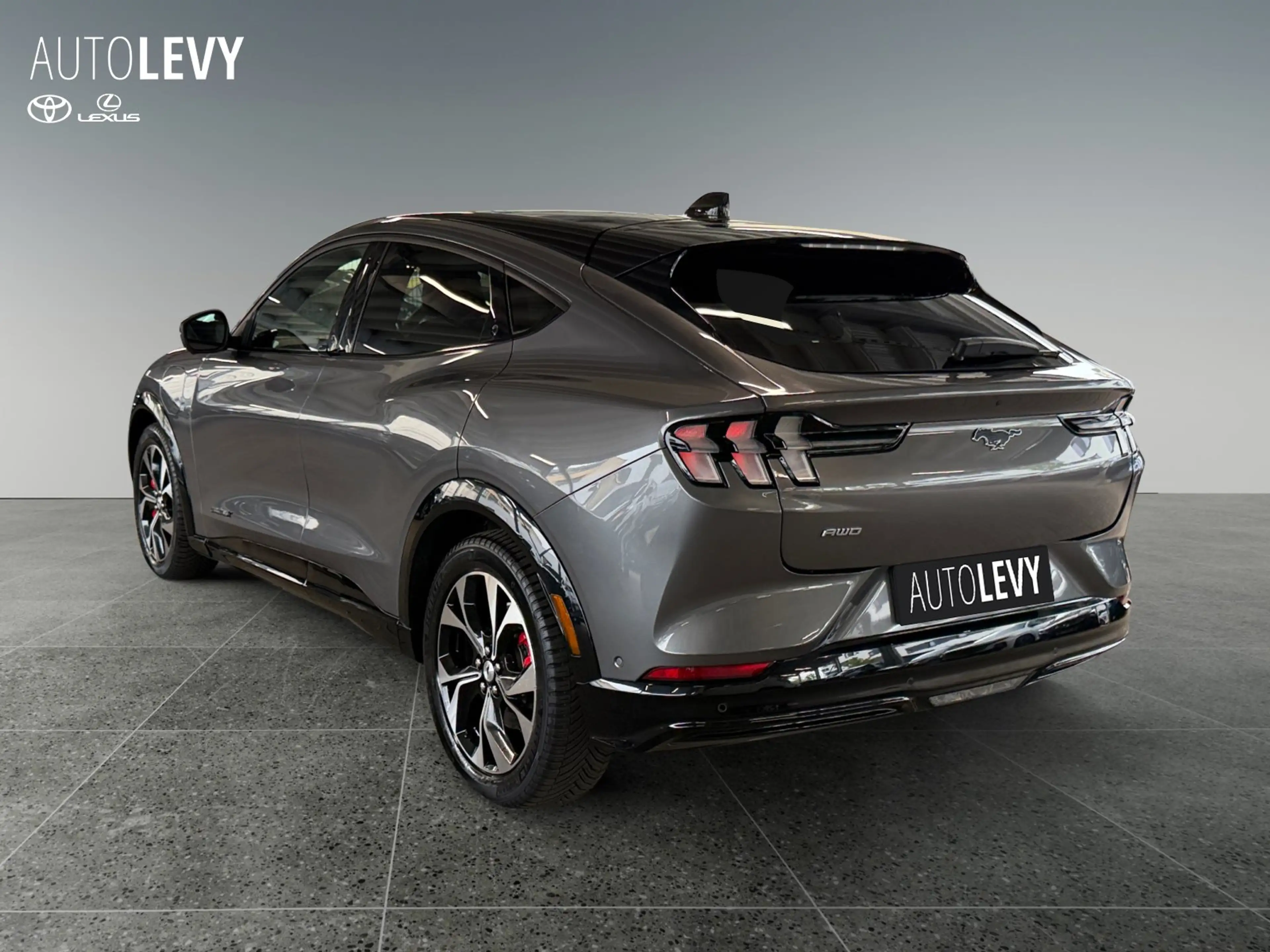 Ford Mustang Mach-E AWD (Extended Range 99kWh) 360 Kam — photo 4