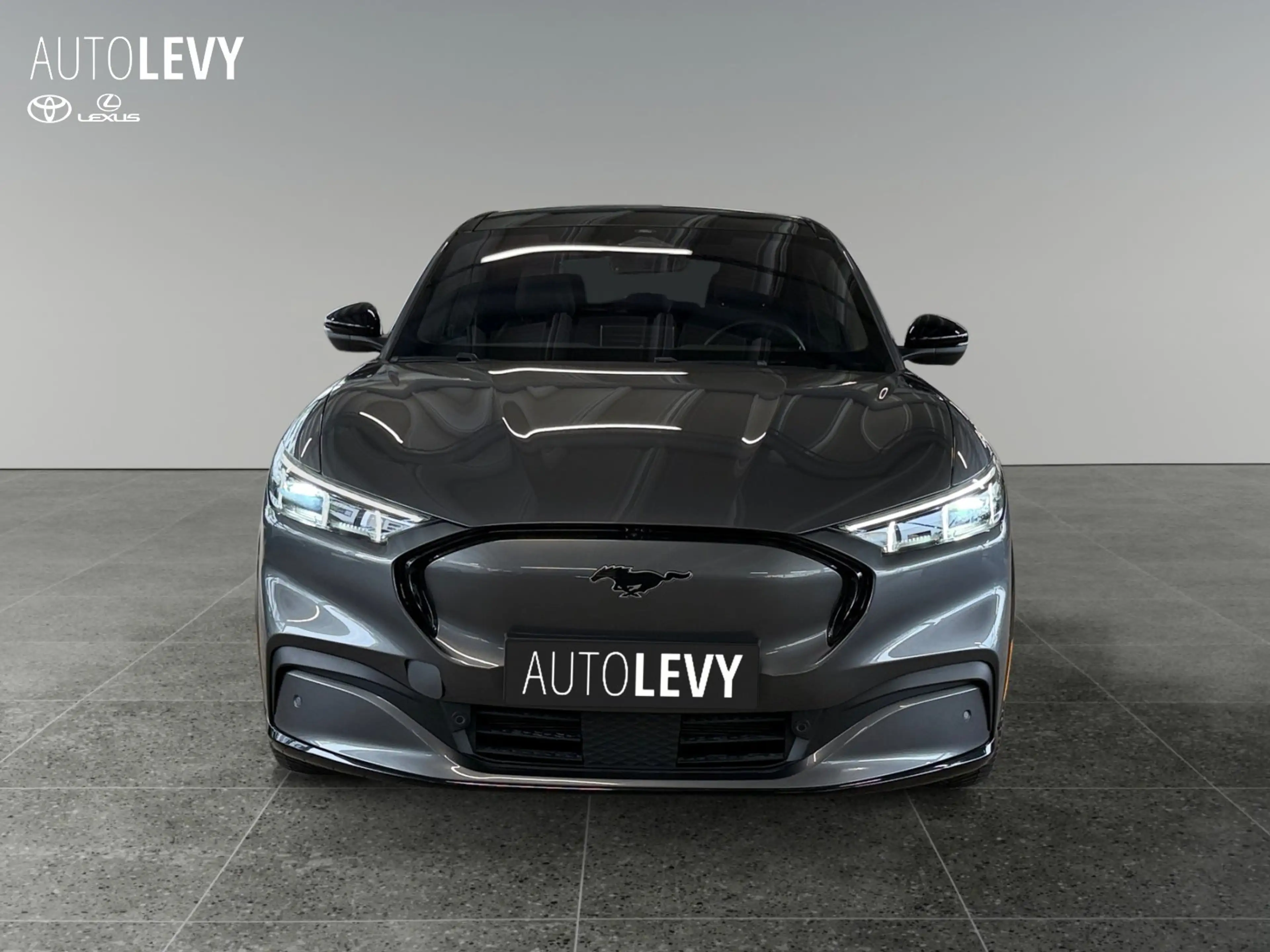 Ford Mustang Mach-E AWD (Extended Range 99kWh) 360 Kam — photo 9