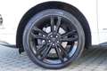 Ford Edge 2.0 EcoBlue ST-Line 4x4 LED Panorama Memory Blanc - thumbnail 9