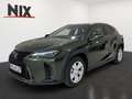 Lexus UX 300h 2.0 Hybrid F-Sport Design LED SHZ Vert - thumbnail 1