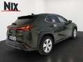 Lexus UX 300h 2.0 Hybrid F-Sport Design LED SHZ Vert - thumbnail 4