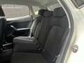 SEAT Ibiza Style Alb - thumbnail 14
