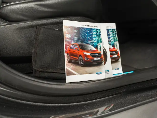 Ford Edge view 17