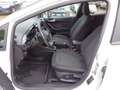 Ford Fiesta 5p 1.5 tdci ST-Line 85cv my18 Bianco - thumbnail 6