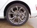 Ford Fiesta 5p 1.5 tdci ST-Line 85cv my18 Bianco - thumbnail 14