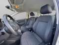 Volkswagen Polo 5p Sport 1.6 TDI 90 CV Gris - thumbnail 8