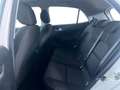 Kia Picanto Picanto 1.0 12V GPL 5 porte Style Blanco - thumbnail 8