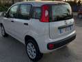 Fiat Panda Panda 0.9 t.air t. natural power Lounge 80cv E6 Beige - thumbnail 4