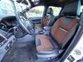 Ford Ranger Autm. Wildtrak Blanc - thumbnail 14
