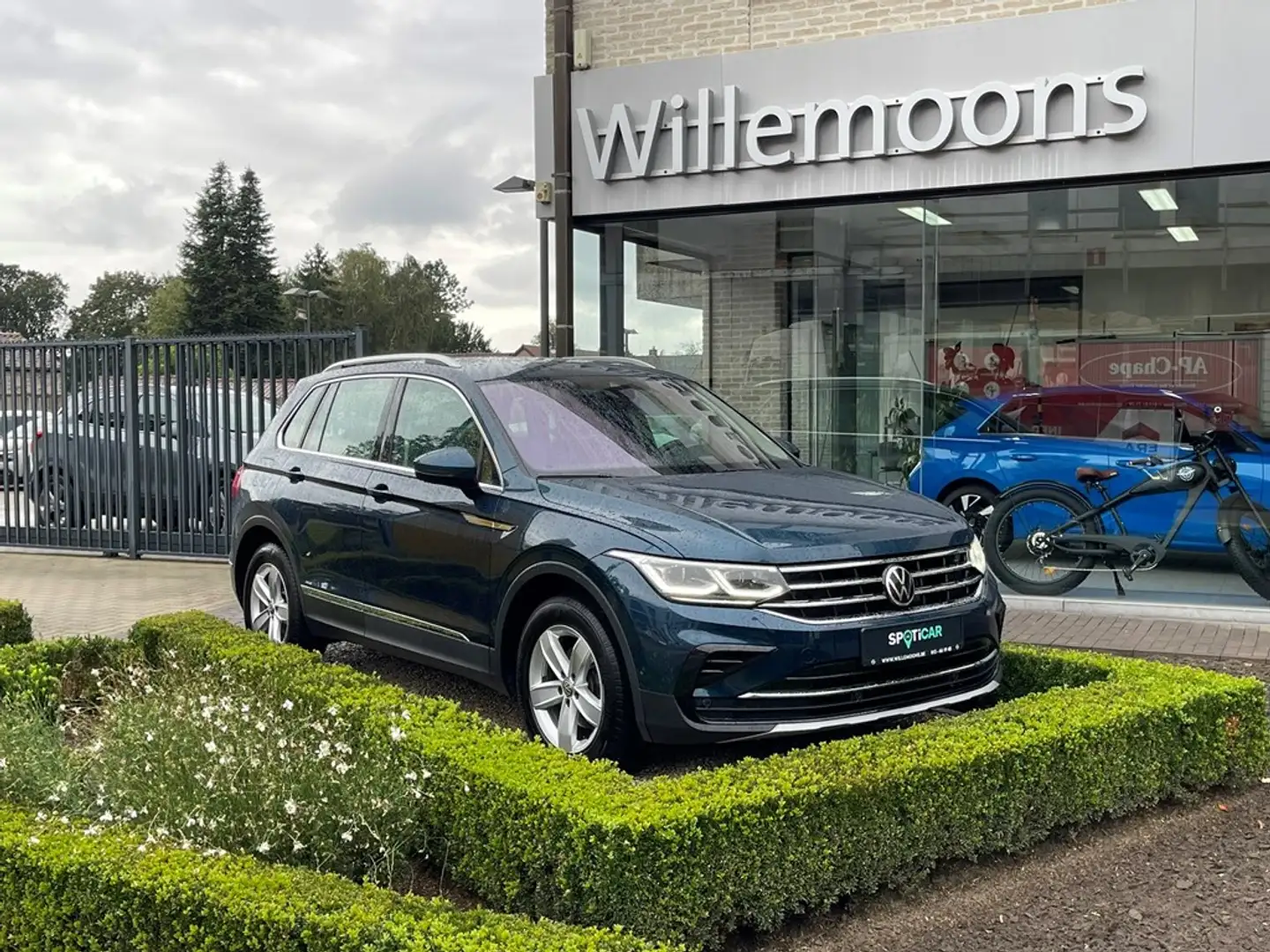 Volkswagen Tiguan Highline 1.5TSI 150PK DSG7 *Matrix LED Koplampen*D Kék - 1