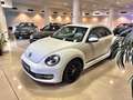 Volkswagen Beetle 1.2 TSI 105cv Connection Blanco - thumbnail 28