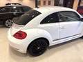 Volkswagen Beetle 1.2 TSI 105cv Connection Blanc - thumbnail 25