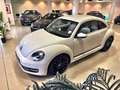Volkswagen Beetle 1.2 TSI 105cv Connection Blanc - thumbnail 27