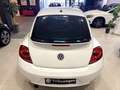 Volkswagen Beetle 1.2 TSI 105cv Connection Blanc - thumbnail 8