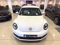 Volkswagen Beetle 1.2 TSI 105cv Connection Blanc - thumbnail 29