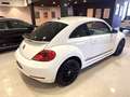 Volkswagen Beetle 1.2 TSI 105cv Connection Blanc - thumbnail 9