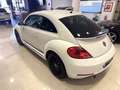 Volkswagen Beetle 1.2 TSI 105cv Connection Blanc - thumbnail 7