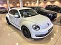 Volkswagen Beetle 1.2 TSI 105cv Connection Blanc - thumbnail 26