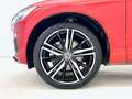 Volvo XC60 R DESIGN AWD 2.0 B5 G 250CV AT8 Rouge - thumbnail 5