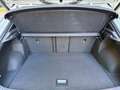 Volkswagen T-Roc 1.5 TSI Sport R-Line l Pano l Virtual l Climate l Blanc - thumbnail 23