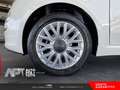 Fiat 500 500 1.2 Lounge 69cv E6 Bianco - thumbnail 5