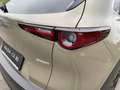 Mazda CX-30 e-Skyactive G122 Homura - thumbnail 10