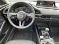 Mazda CX-30 e-Skyactive G122 Homura - thumbnail 13