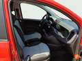 Fiat Panda 1.2 City Cross 51kW (69CV) EU6 Amarillo - thumbnail 12