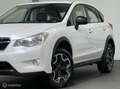 Subaru XV 1.6i Business Edition AWD Wit - thumbnail 13