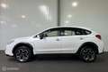 Subaru XV 1.6i Business Edition AWD Blanc - thumbnail 3