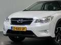 Subaru XV 1.6i Business Edition AWD Blanc - thumbnail 22