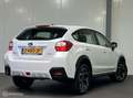 Subaru XV 1.6i Business Edition AWD Blanc - thumbnail 6