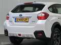 Subaru XV 1.6i Business Edition AWD Wit - thumbnail 14