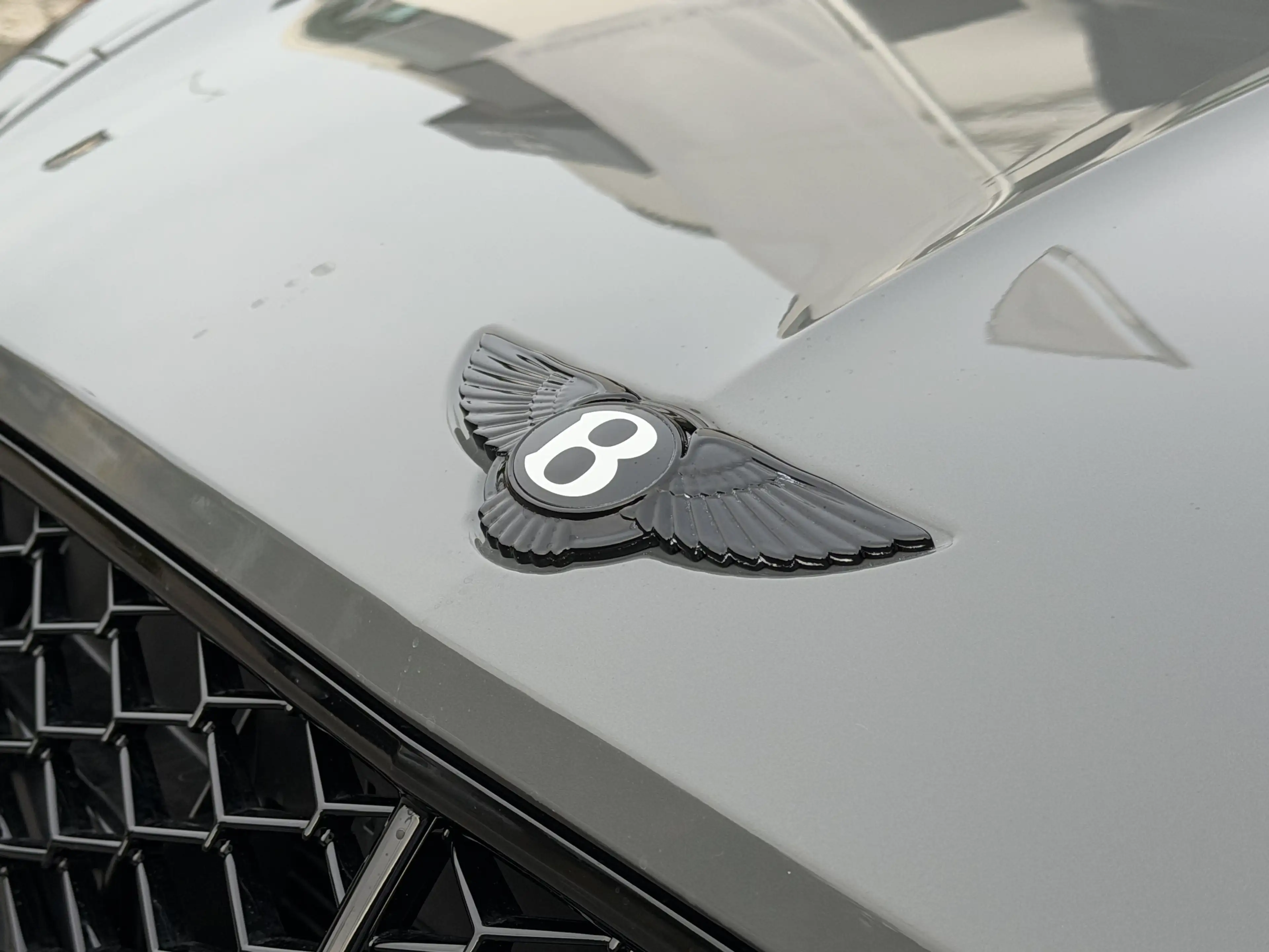 Bentley Continental GT S *B&O*Rotating*Touring* — photo 12