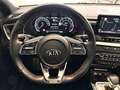 Kia ProCeed / pro_cee'd GT 204 CV-TETTO APRIBILE-RETROCAMERA-PREZZO REALE! Grigio - thumbnail 15