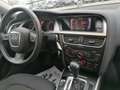 Audi A5 Coupe 2.7 V6 tdi multitronic Bianco - thumbnail 13