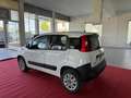 Fiat Panda 1.3 MJT S&S 4x4 Pop Climbing Van 2 posti Bianco - thumbnail 5