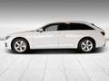 Audi A6 45 TFSI sport quattro Navi ACC Sound Weiß - thumbnail 5