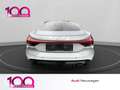 Audi e-tron ICE-RACE-EDITION 1 of 99 - B&O HUD KERAMIK Gümüş rengi - thumbnail 5