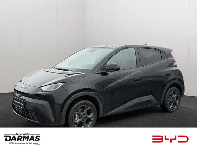 BYD Dolphin DOLPHIN SURF Comfort