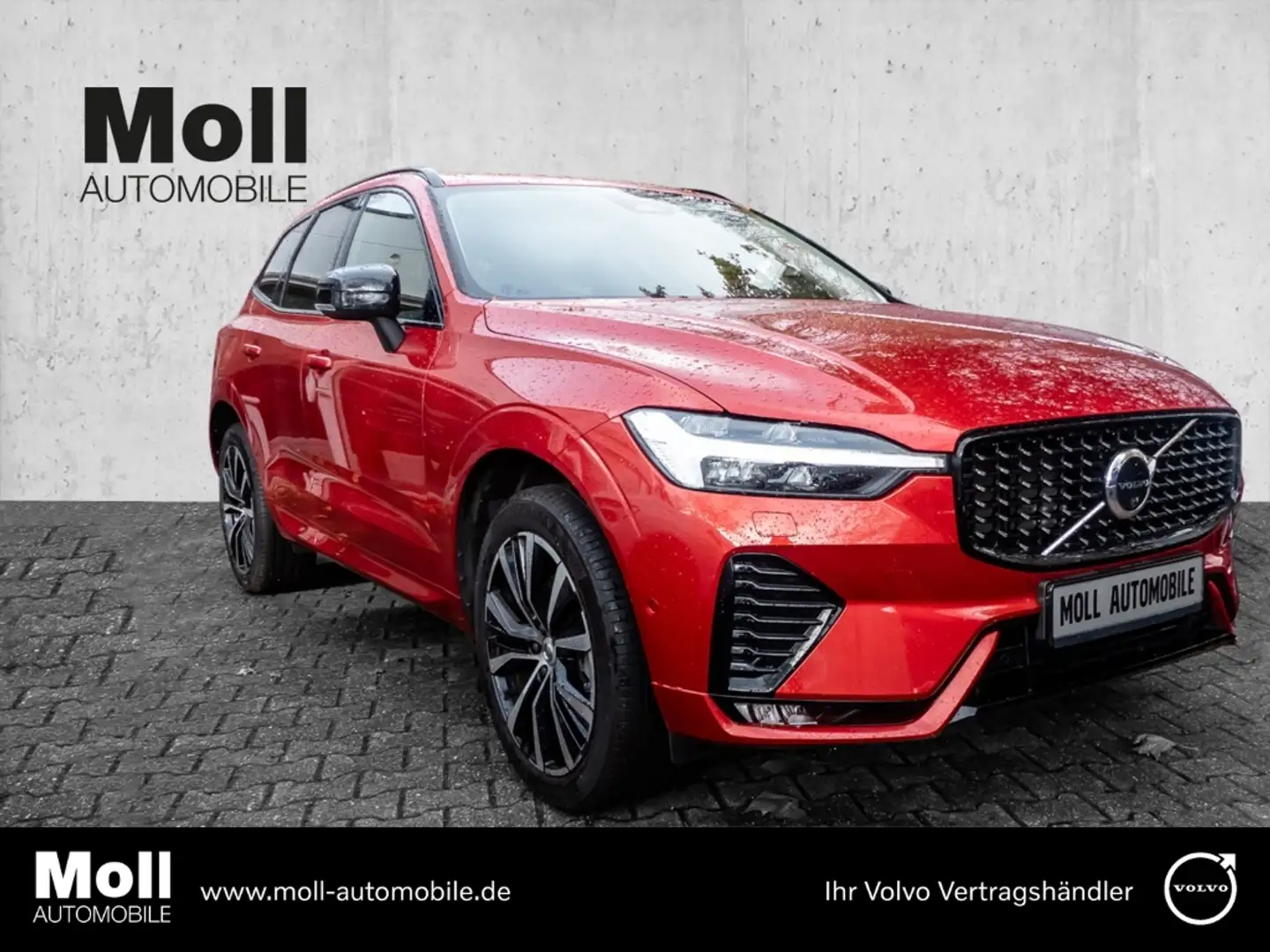 Volvo XC60 Plus Dark 2WD B4 Benzin EU6d StandHZG digitales Co Червоний - 1