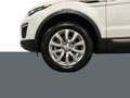 Land Rover Range Rover Evoque Evoque 5p 2.0 td4 Pure 150cv auto my19 Bianco - thumbnail 17